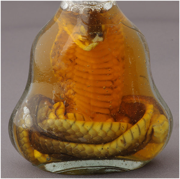 Snake in a Bottle 2