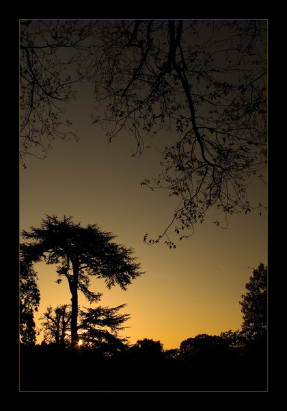 Sunset at Walpole Park