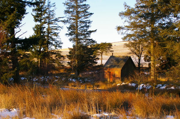 The Curling Hut