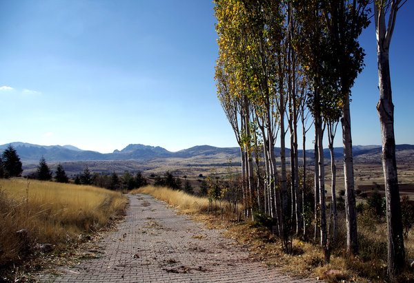 The Paved Road in Autumn