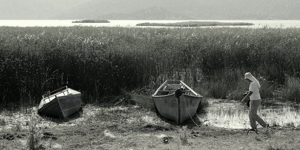 Traveller...