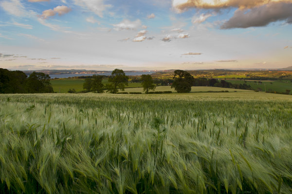 West Lothian View