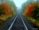 Autumn's Train Ride border=