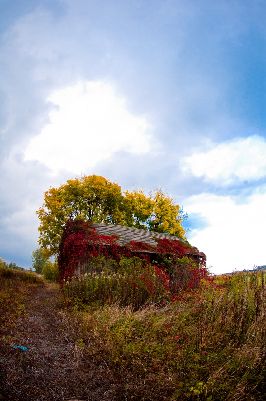 Autumn... doesn't have to be gloomy!