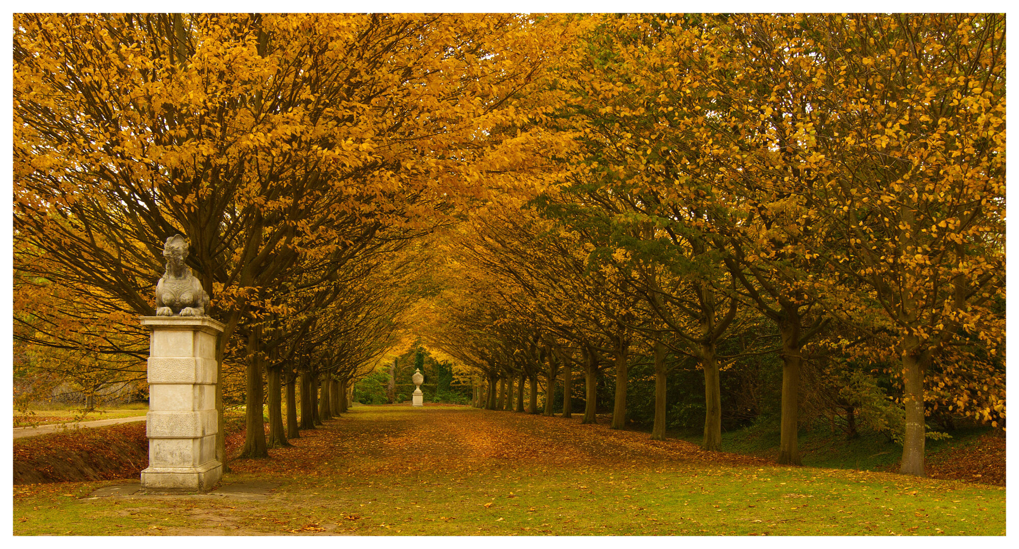 Autumn colours 2