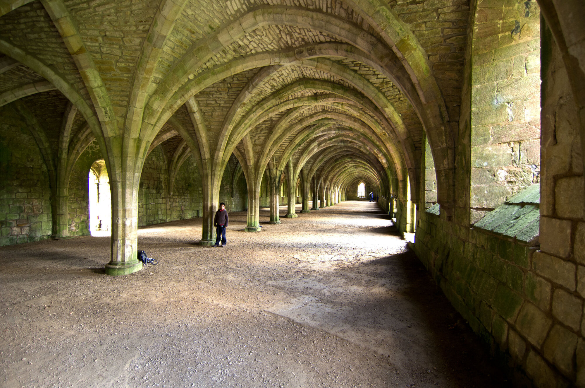 Cellarium