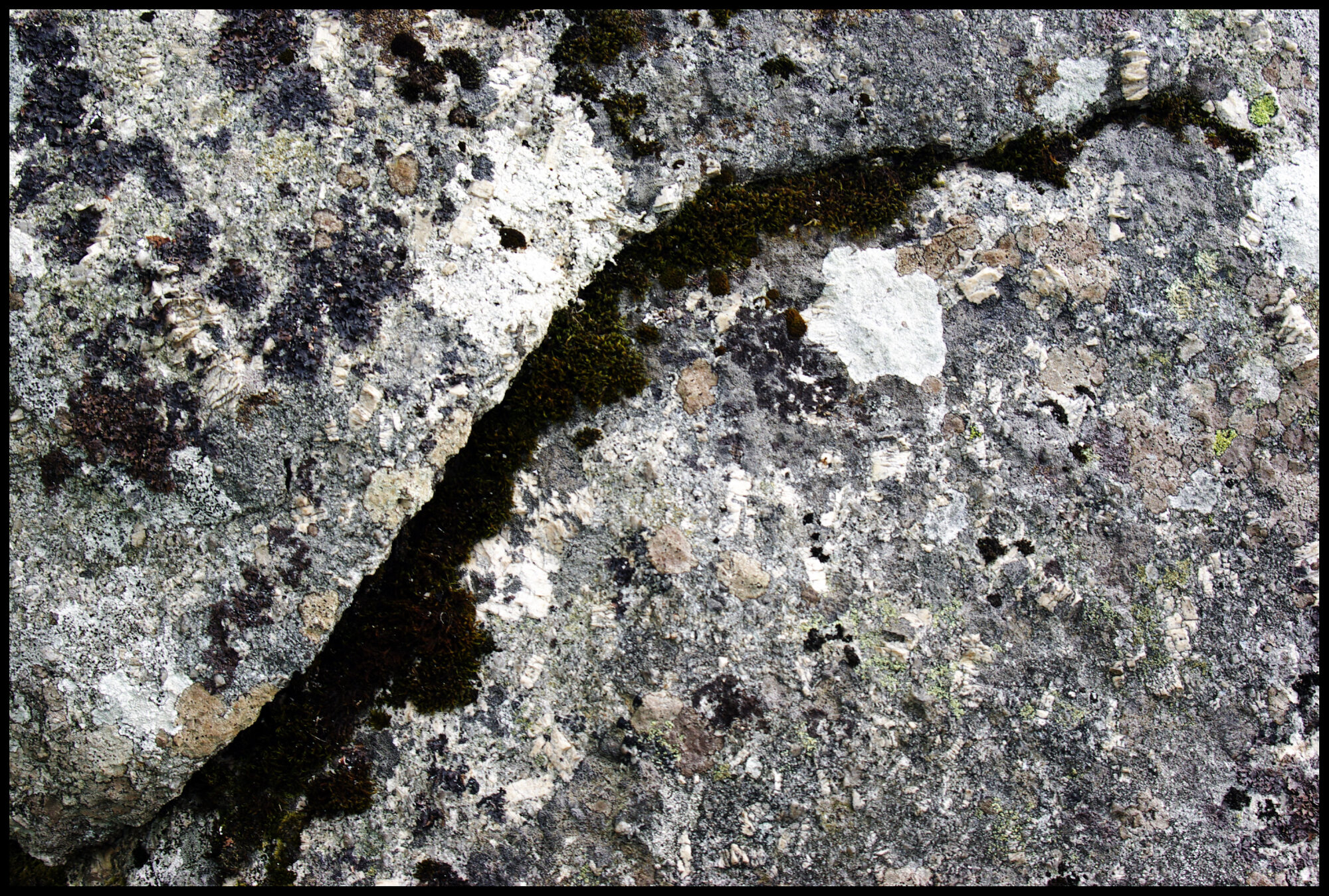 Fissure