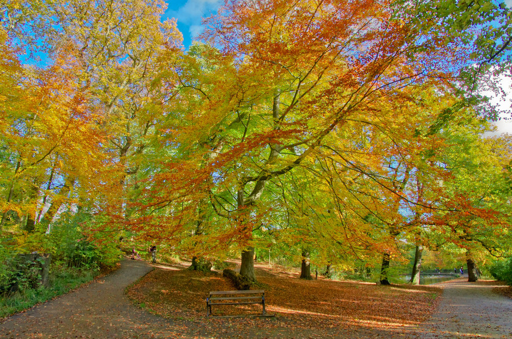 Autumn colours