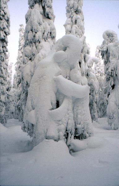 A winter hug