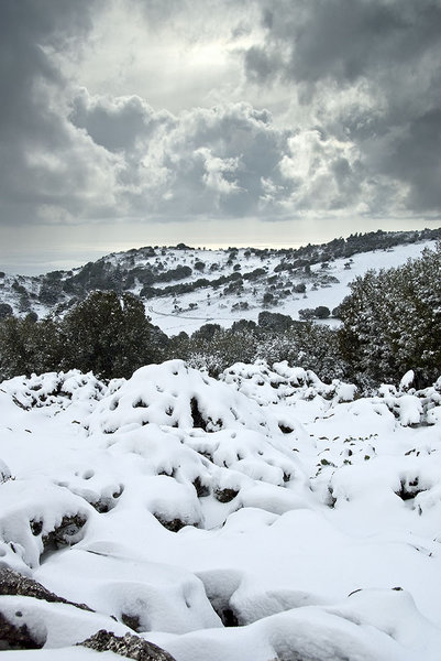 a winters tale