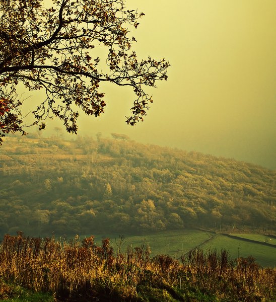 Afternoon haze