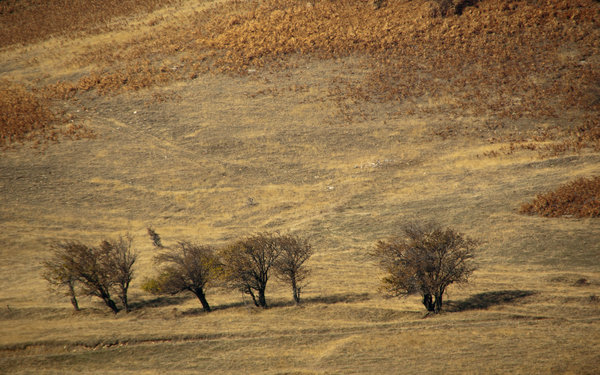 Automn in northern Greece