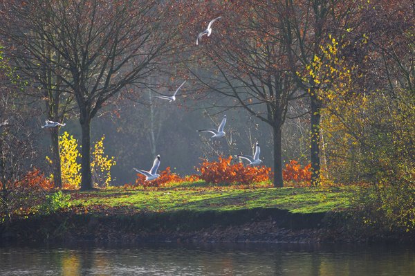autumn'2011