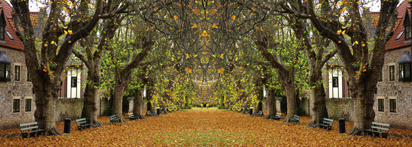 Autumn Avenue - Double Take