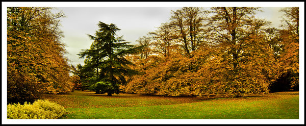 Autumn colours 3
