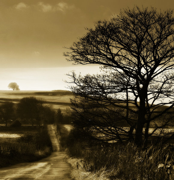 Bleak November