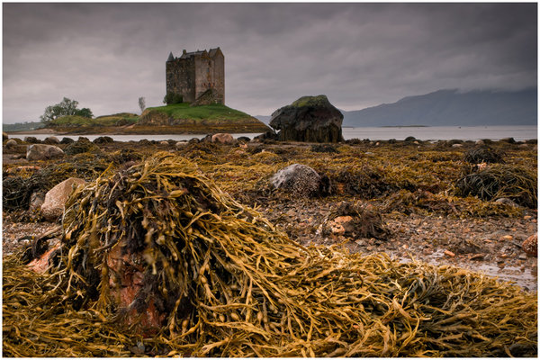 Castle Stalker