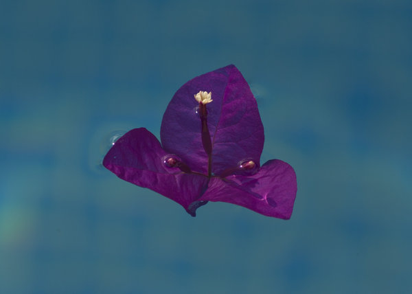 Floating
