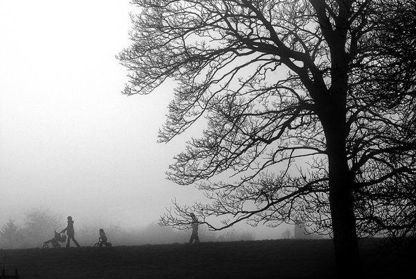 Fog Walkers