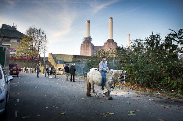 Horse Trading, Battersea, 13th Nov 2011