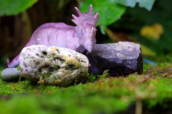 Jurassic park.