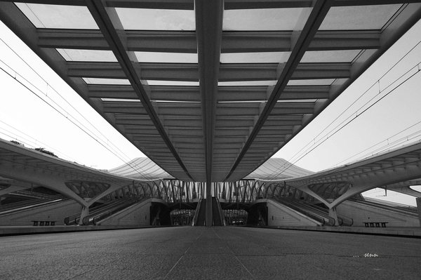 Li�ge-Guillemins (II)
