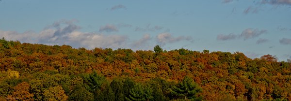 New England Autumn