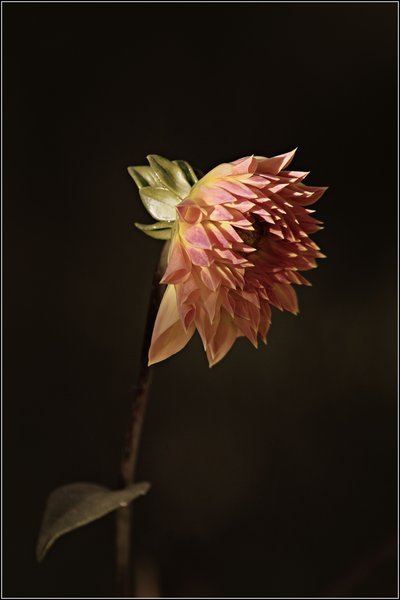 October beauty