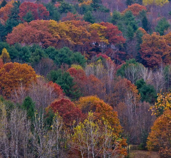 October
