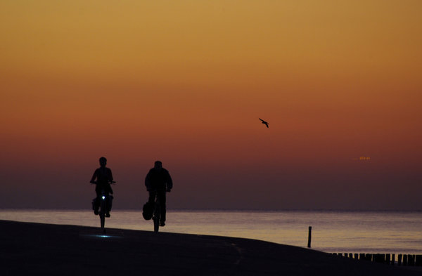 riding in twilight