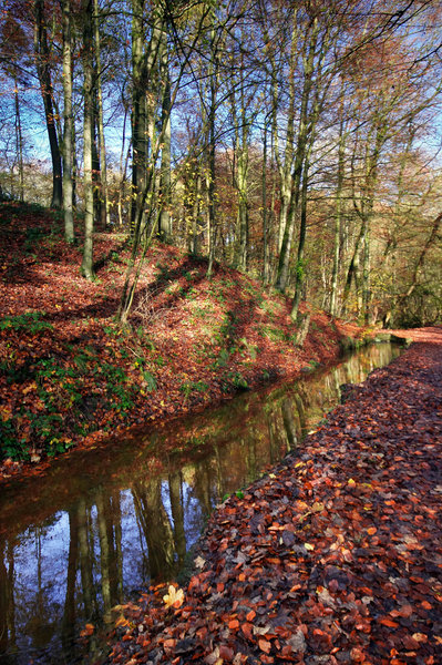 Skipton Woods Again