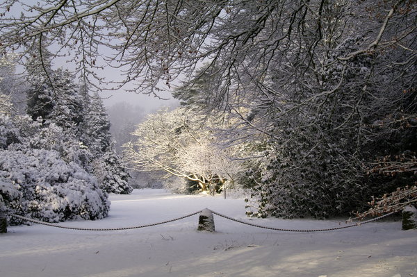 Snow at Sunrise
