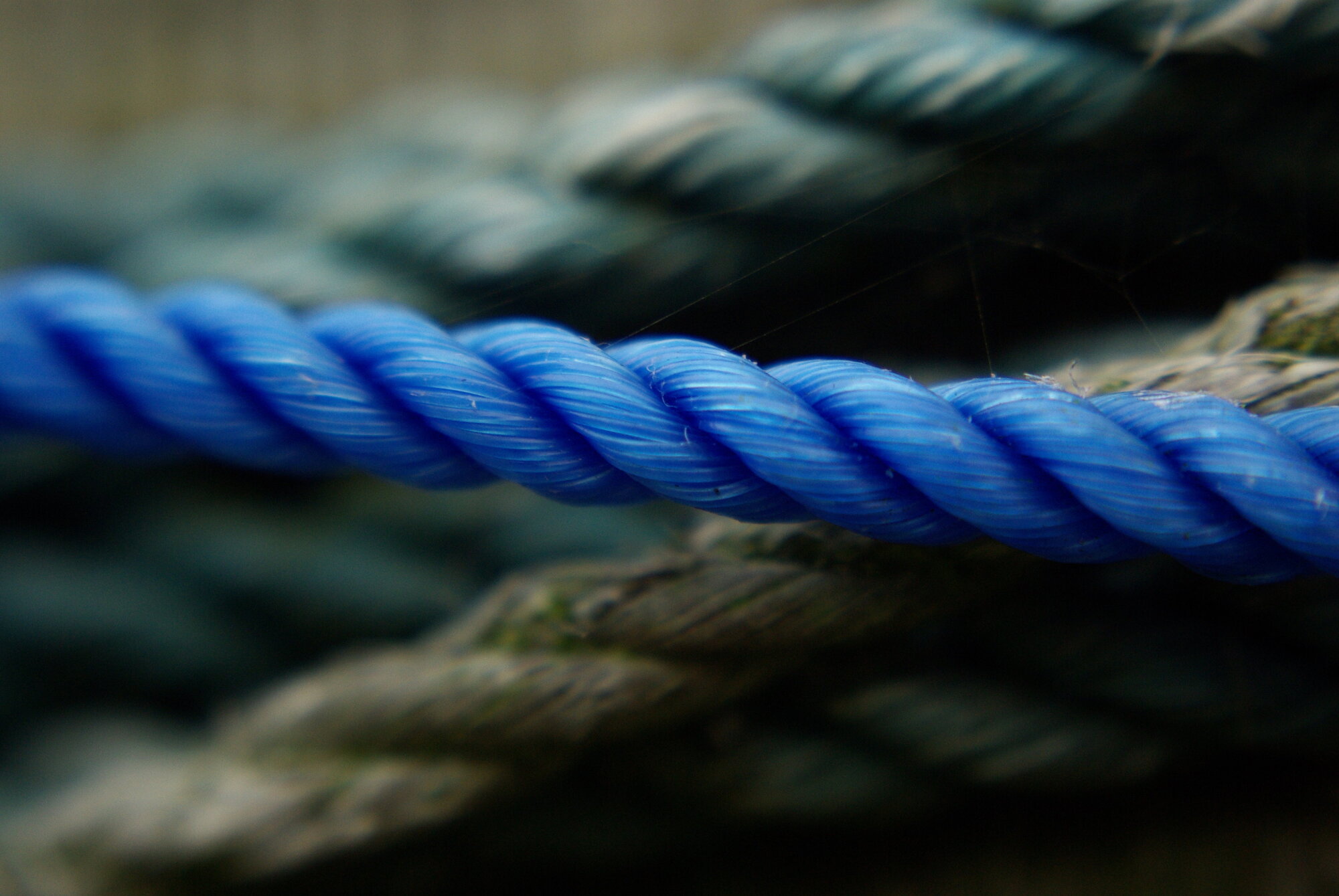 MACRO