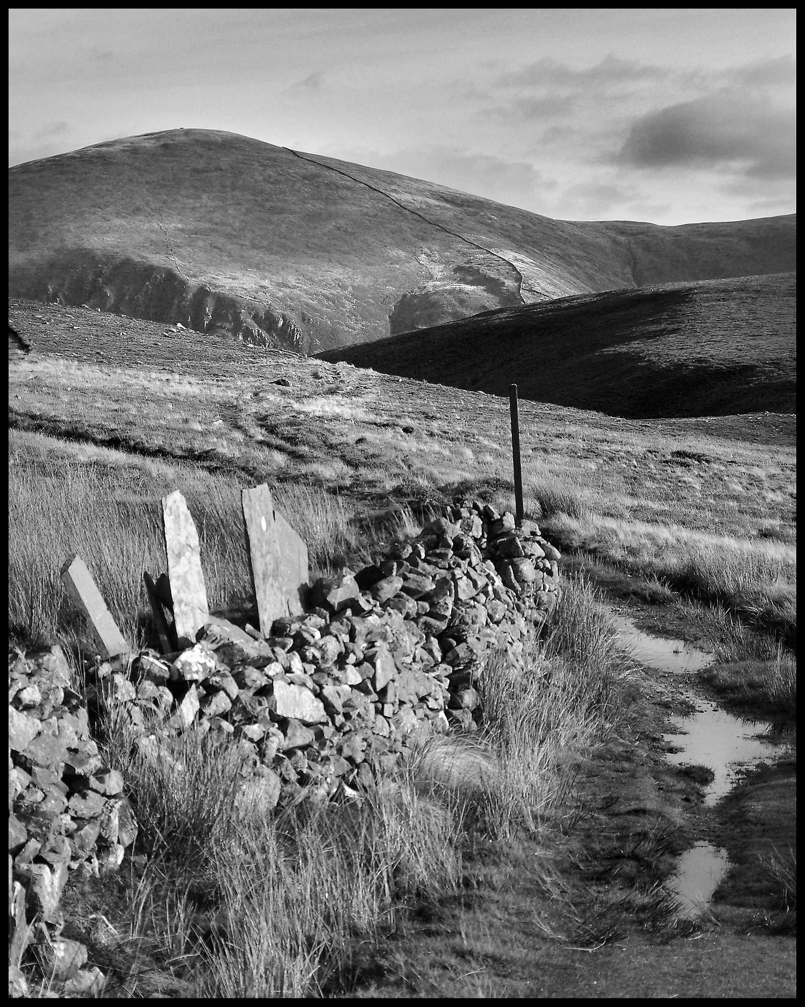Moel Eilio