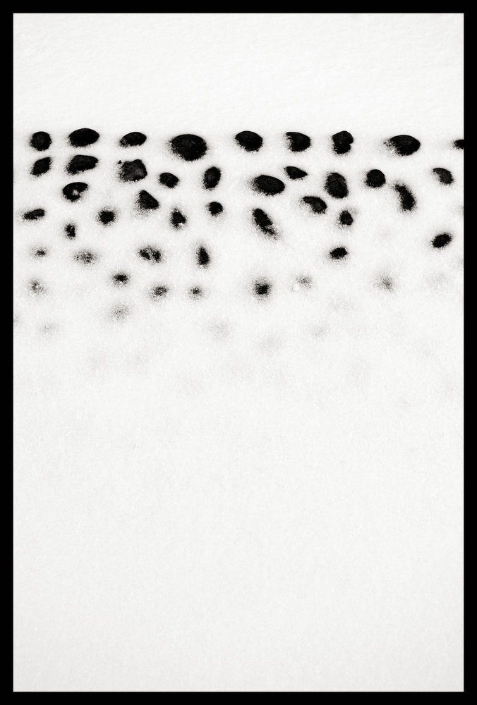 Abstract - snow & Pebbles