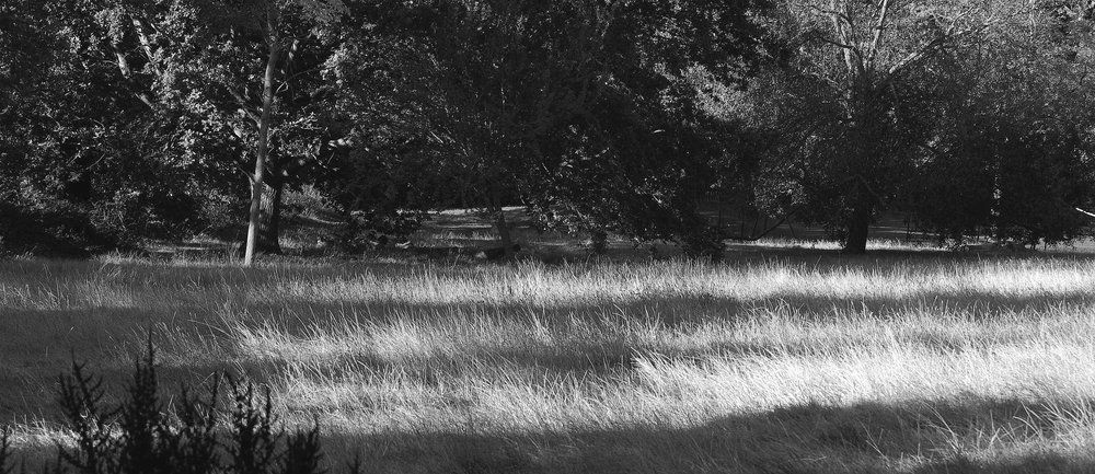 black and white
