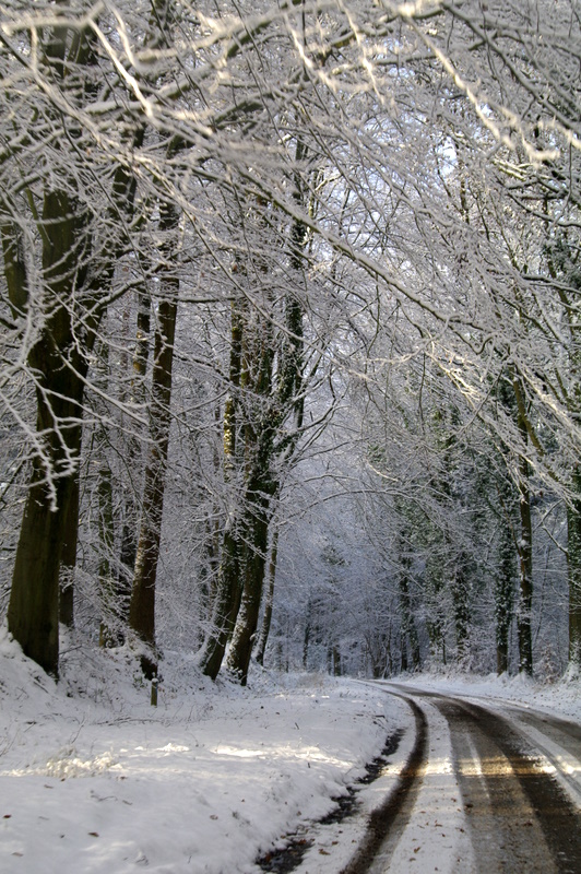 Down the road...