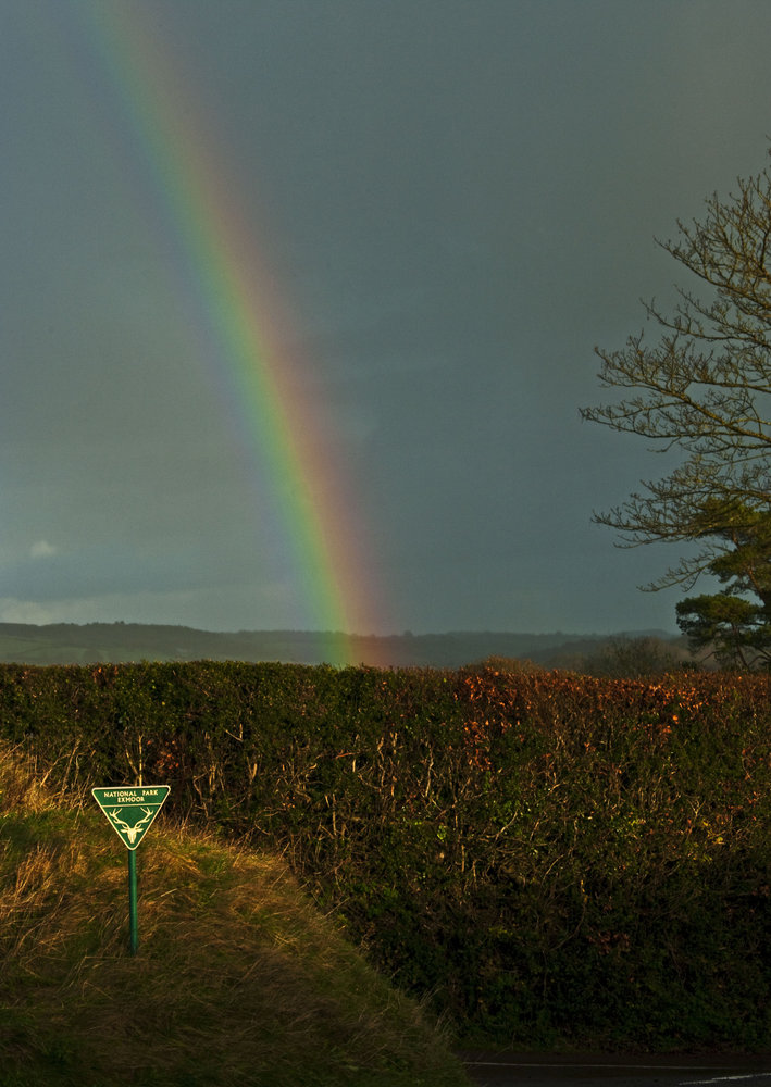 Exmoor.......the gold at the end of the rainbow!