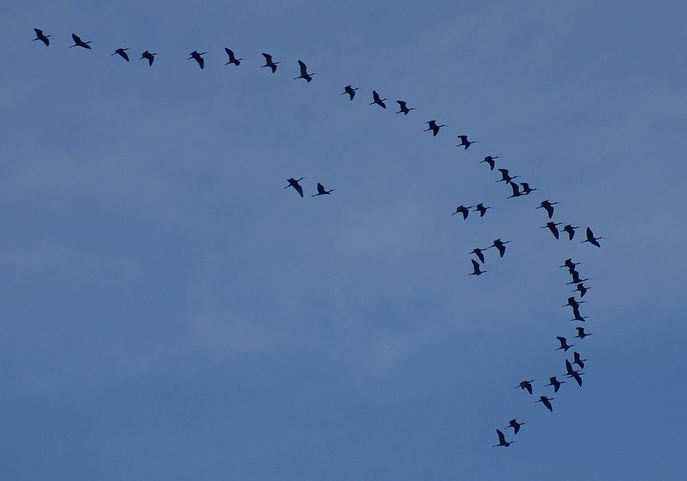 Flying towards 2012