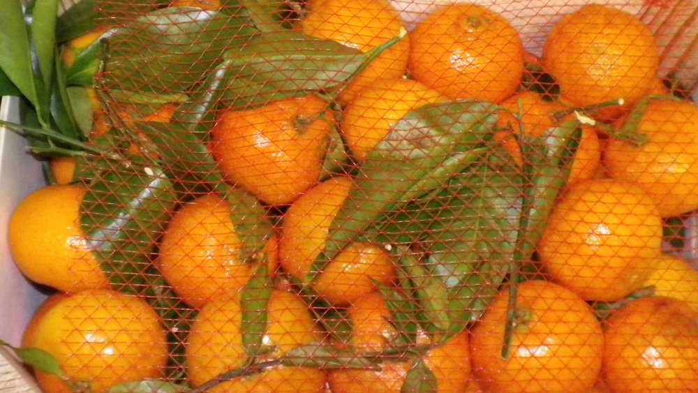 Spanish oranges