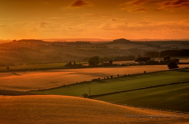 Stockbridge Down