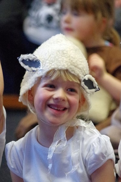 A Christmas Sheep
