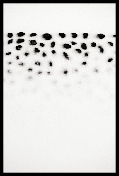 Abstract - snow & Pebbles