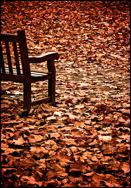 Autumnal colours