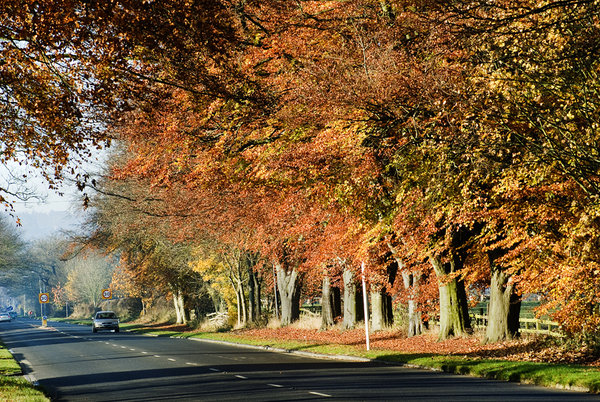 Corbridge road, Hexham
