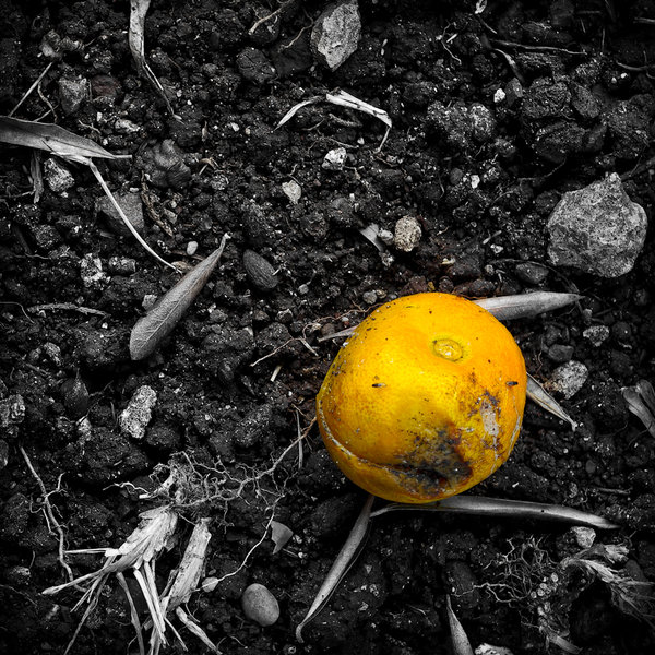 Don't let it rot!