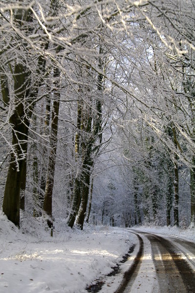 Down the road...