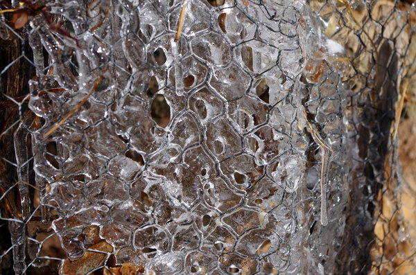 Frozen Chicken Wire