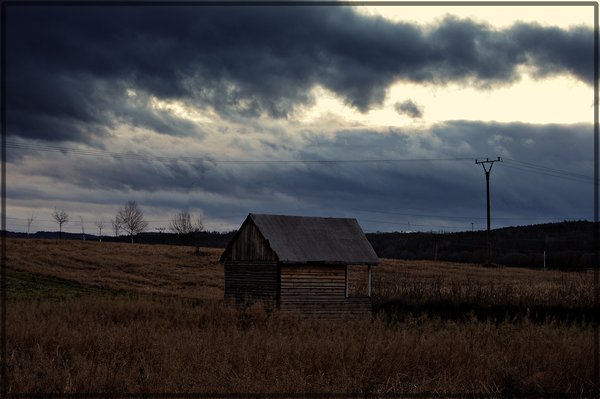 Hut in a field 1