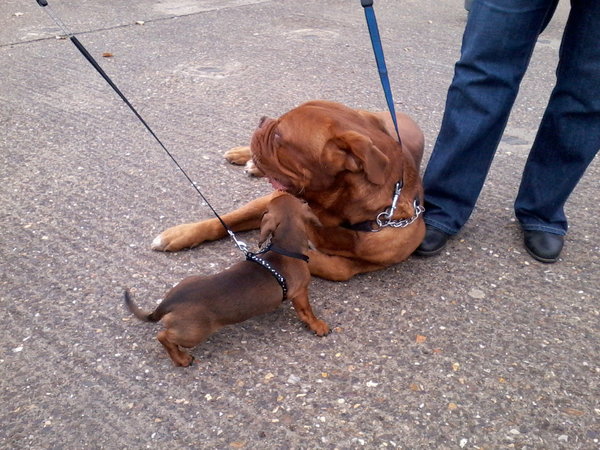 Little & Large